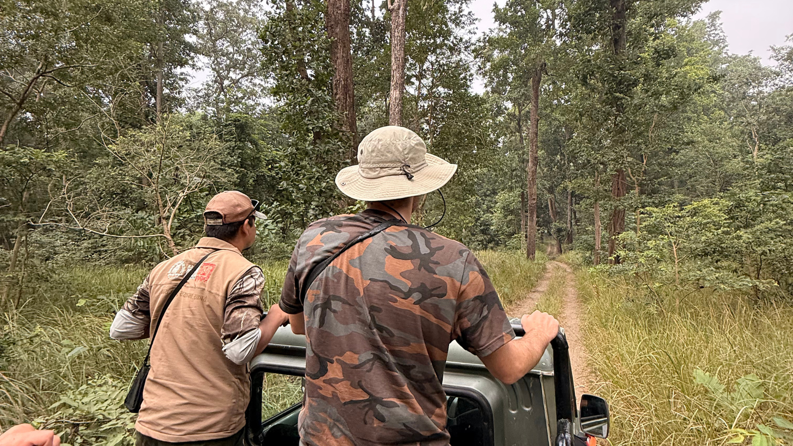 Comment organiser un safari au Népal : guide complet pour préparer votre aventure