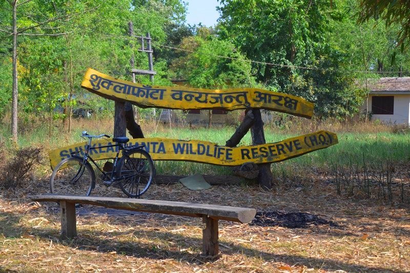 Parc national de Suklaphanta - safari Nepal