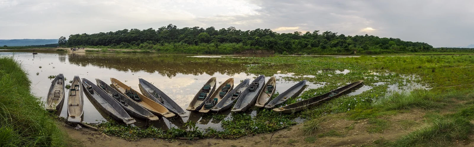 Pirogues traditionnelles sur la rivière au coucher du soleil dans le parc national