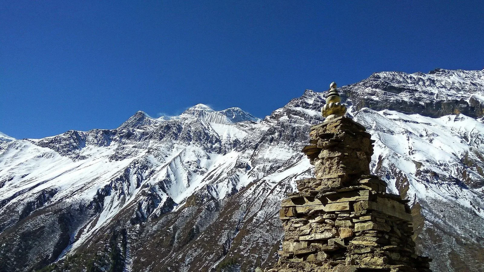 How to Organize a Safari in Bardia After Trekking in Nepal? (2026 Guide)