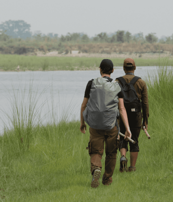 Safari à pied Bardia