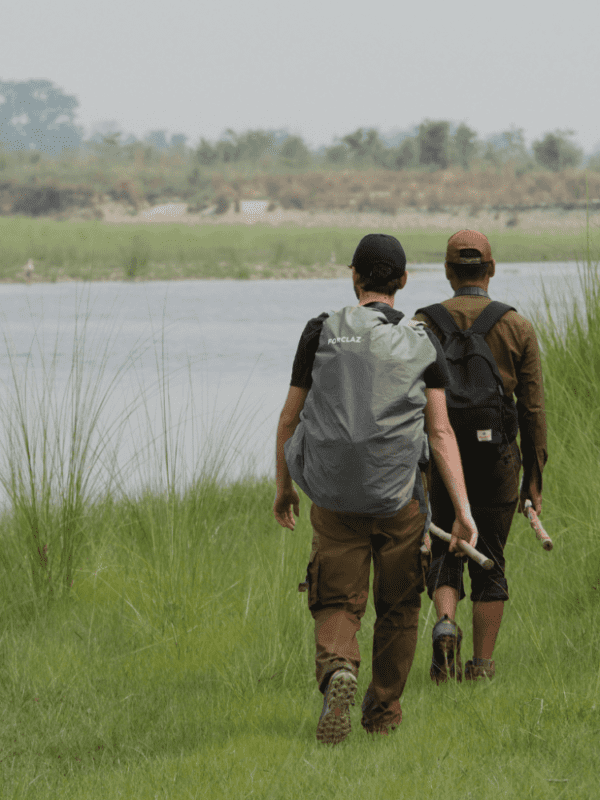 Safari à pied Bardia