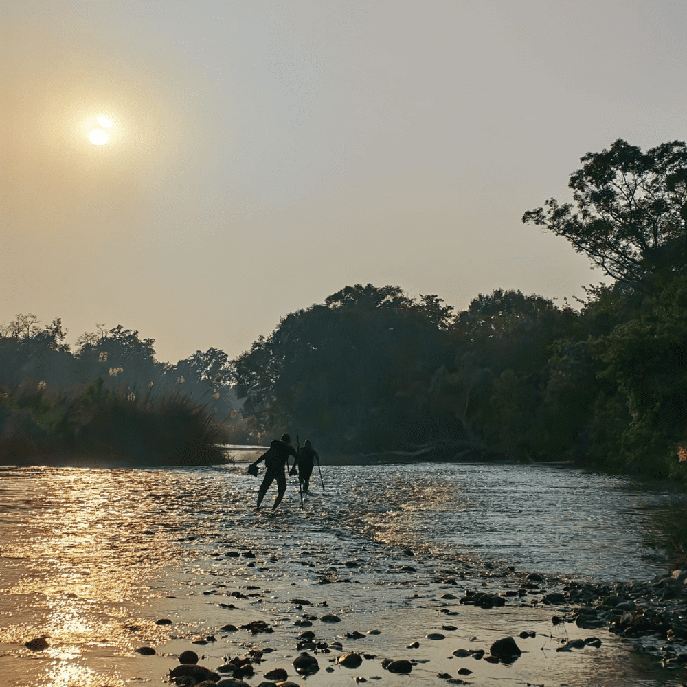 jungle walk Babai valley